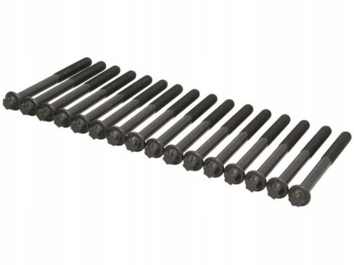 14-32238-02 Zestaw Śrub Głowicy Cylindrów 14-32238-02 Reinz