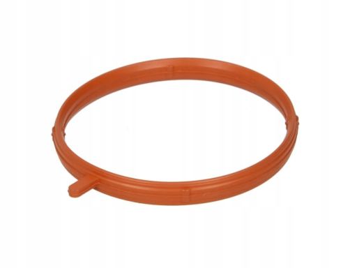 71-33176-00 Uszczelka Rury Kolektora Dolotowego 71-33176-00 Reinz