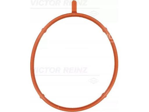 71-33176-00 Uszczelka Rury Kolektora Dolotowego 71-33176-00 Reinz