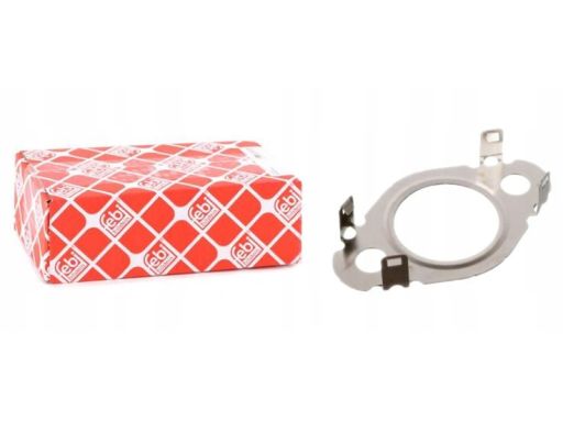 170319 Uszczelnienie Zaworu Egr Fe170319 Febi