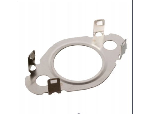 170319 Uszczelnienie Zaworu Egr Fe170319 Febi