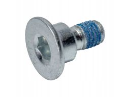 05560 Śruba Tarczy Ham. Db W124/W140/W202/W210 Fe05560. Febi Bilstein