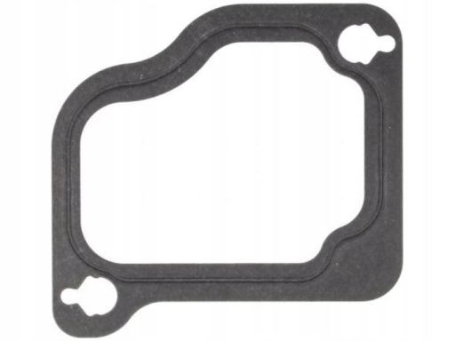 71-37842-00 Uszczelka Kolektora Dolotowego 71-37842-00 Reinz