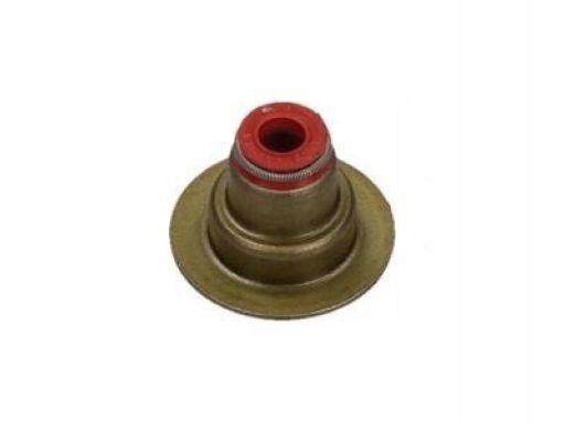 70-36613-00 Uszczelniacz Trzonka Zaworu 70-36613-00 Reinz