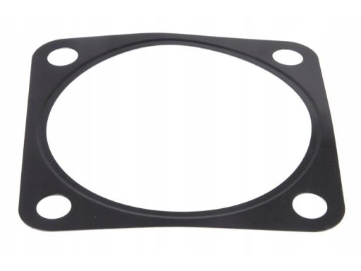 655.560 Uszczelka/Uszczelniacz El655560 Elring