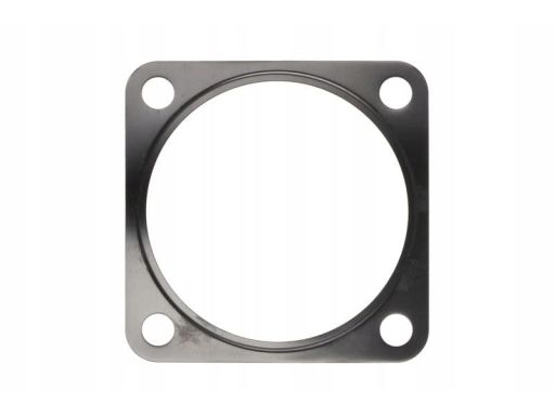 655.560 Uszczelka/Uszczelniacz El655560 Elring