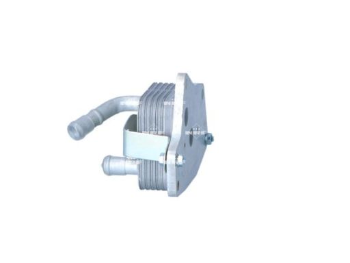 31855 Chłodnica Oleju Nrf 31855 Nrf