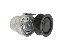 Vkm 36134 Napinacz Paska Wielorowk. Renault Twingo Skf