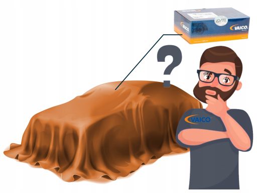 V10-0875 Miska Olejowa Vaico