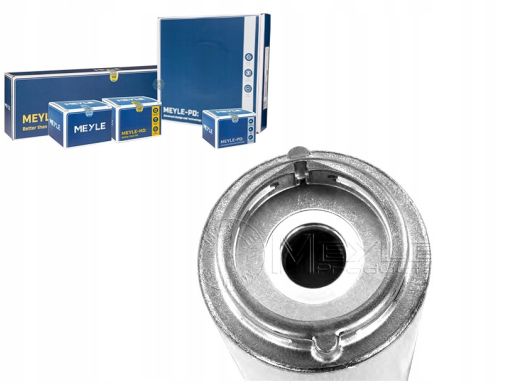 314 323 0011 Filtr Paliwa Meyle