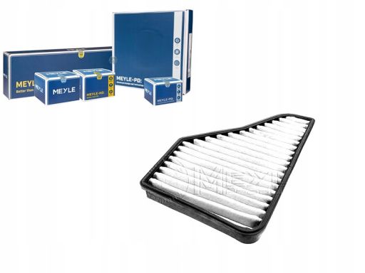 012 320 0008 Filtr Kabiny Meyle