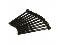 257.910 Zestaw Śrub Głowicy Cylindrów Elring