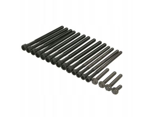 459.450 Zestaw Śrub Głowicy Cylindrów Elring