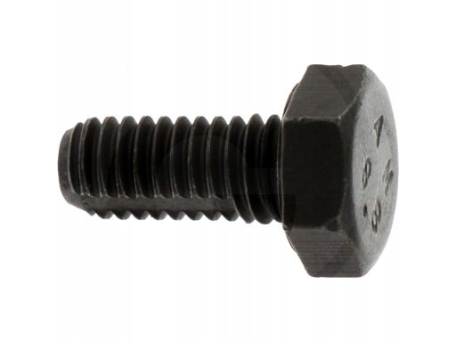 2 433 456 034 Śruba Bosch