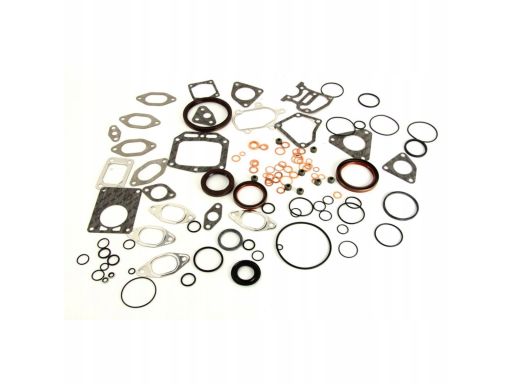 143.261 Kompletny Zestaw Uszczelek Silnika Elring