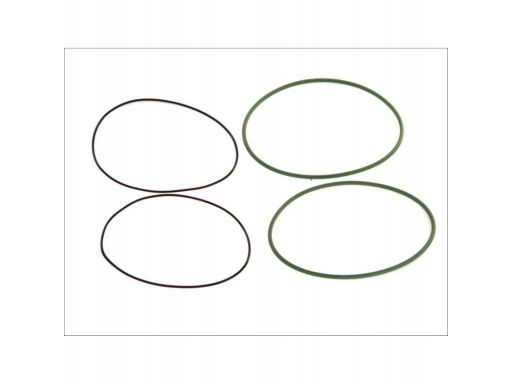 216.930 Zestaw Uszczelek Tulei Cylindra Elring