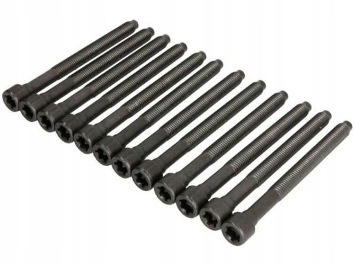 005.610 Zestaw Śrub Głowicy Cylindrów Elring