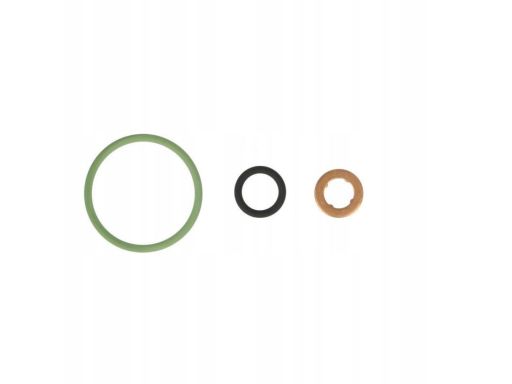 189.270 Zestaw Uszczelek Wtryskiwacza Elring