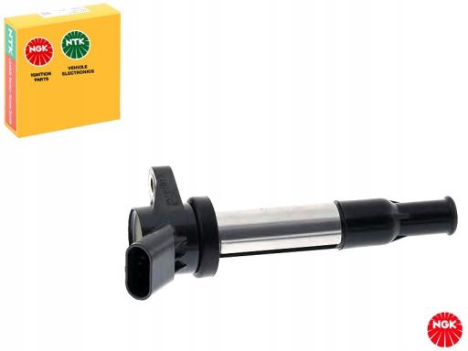 48256 Cewka Zapłonowa Ngk