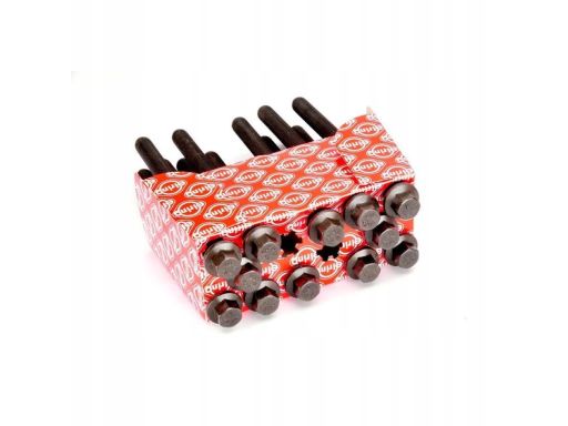 221.490 Zestaw Śrub Głowicy Cylindrów Elring