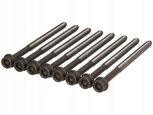 223.890 Zestaw Śrub Głowicy Cylindrów Elring