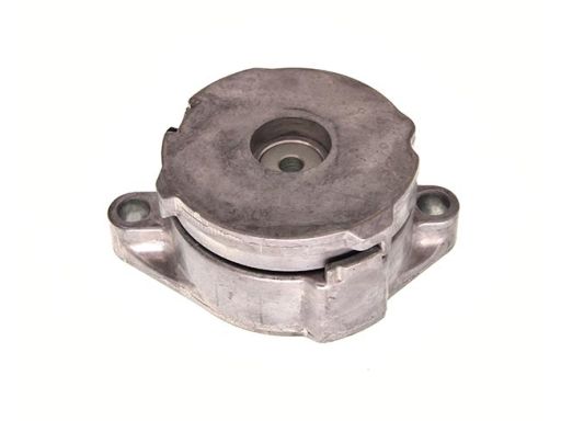 54-0052 Napinacz Paska Wielorowk. Vw1,9Td Maxgear