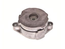 54-0052 Napinacz Paska Wielorowk. Vw1,9Td Maxgear
