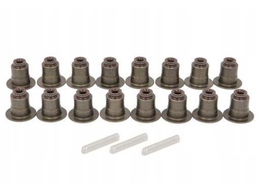 B30.100 Zestaw Uszczelniaczy Trzonka Zaworów Elring