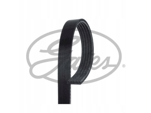 5Pk854Sf Pasek Wieloklinowy Gates