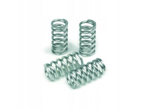 Mef160-6 Sprężyny Sprz. Moto. Aprilia Rsv 1000 Tu Trw