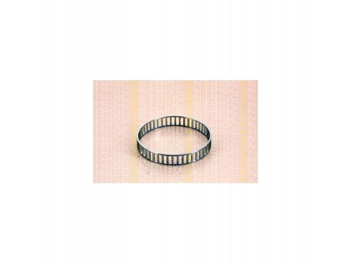 8540 29405 Pierścień Abs Audi P. A4/A6/A8 94-08 Triscan