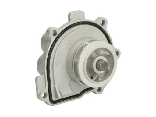 D1X047Tt Pompa Cieczy Chłodzącej Thermotec