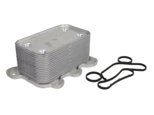 D4M014Tt Chłodnica Oleju Thermotec