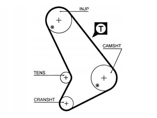 5571Xs Pasek Rozrządu Gates