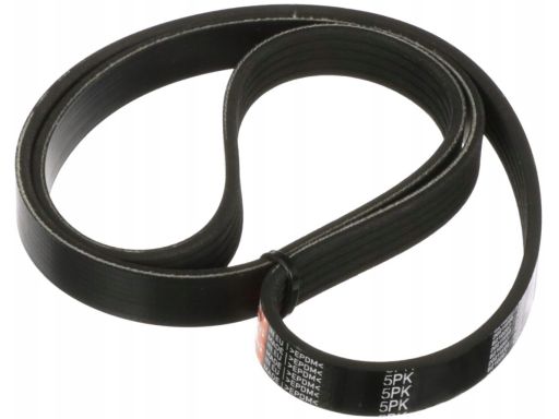 5Pk855 Pasek Wieloklinowy Gates