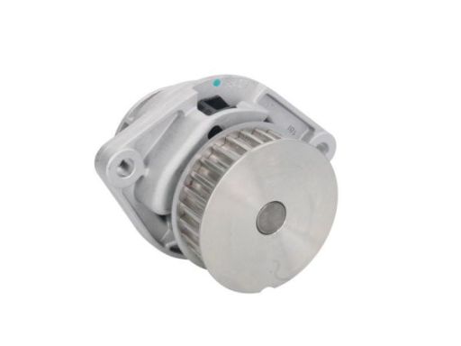 D1W019Tt Pompa Cieczy Chłodzącej Thermotec