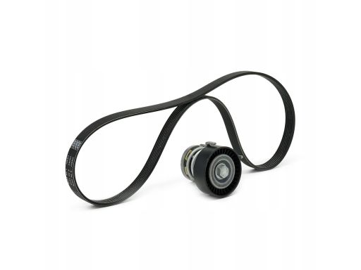 Vkma 31216 Zestaw Paska Wieloklinowego Skf