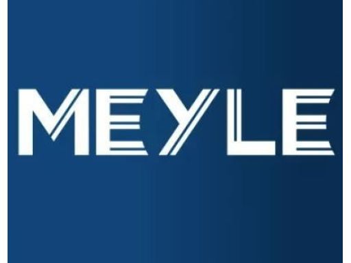 113 012 0056 Pompa Cieczy Chłodzącej Meyle