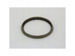 8540 29412 Pierścień Abs Vw T. Beetle/Golf/Jetta 05 Triscan