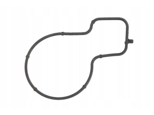 Uszczelka Termostatu 938.850