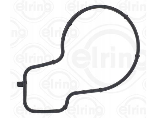 Uszczelka Termostatu 938.850