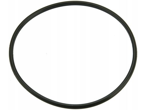 Oring zbiornika pompy paliwa Mercedes W461 W900 W906