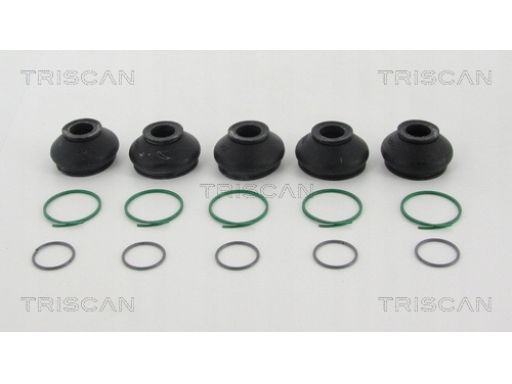 8501 3817 Osłona Sworznia Wahacza/ Sworznia Końców Triscan