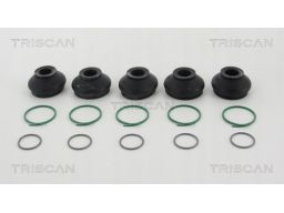 8501 3817 Osłona Sworznia Wahacza/ Sworznia Końców Triscan