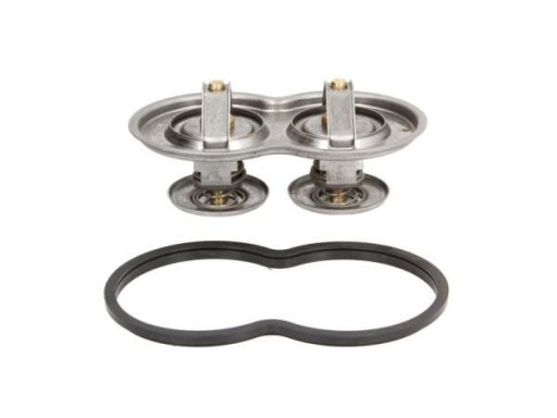 Tv-195.80 Termostat Środka Chłodzącego Thermotec