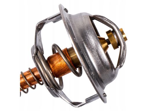 Tv-4.82 Termostat Środka Chłodzącego Thermotec