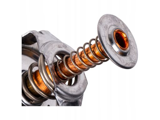 Tv-4.82 Termostat Środka Chłodzącego Thermotec