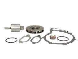 Zestaw Naprawczy Pompy Cieczy Chłodzącej (Łożysko, Reperaturka, Uszcze