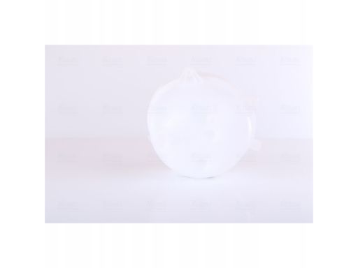 INC Zbiorniczek Wyrównawczy Płynu Chłodniczego Volkswagen T5