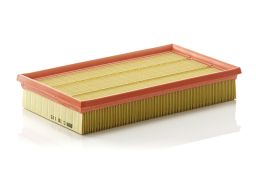 Filtr Powietrza C 30 115